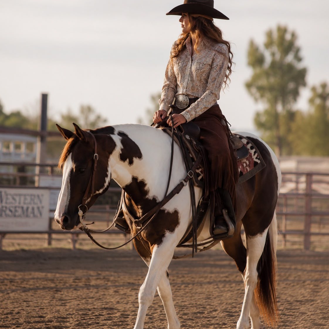 Kategorie Westernreiten